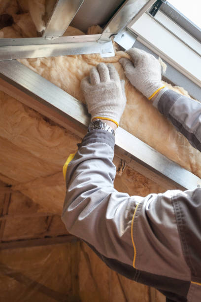 Best Insulation Inspection Services  in Burnsville, MN