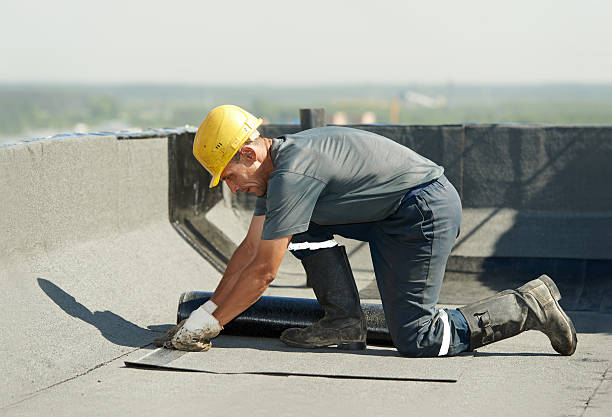 Best Attic Insulation Near Me  in Burnsville, MN