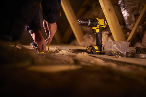 Best Insulation Removal  in Burnsville, MN