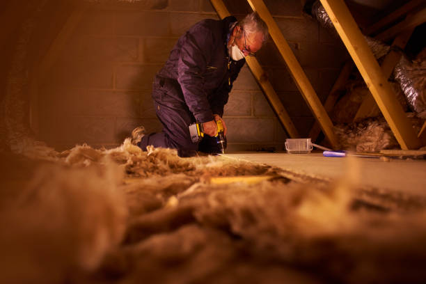 Best Wall Insulation Contractor  in Burnsville, MN